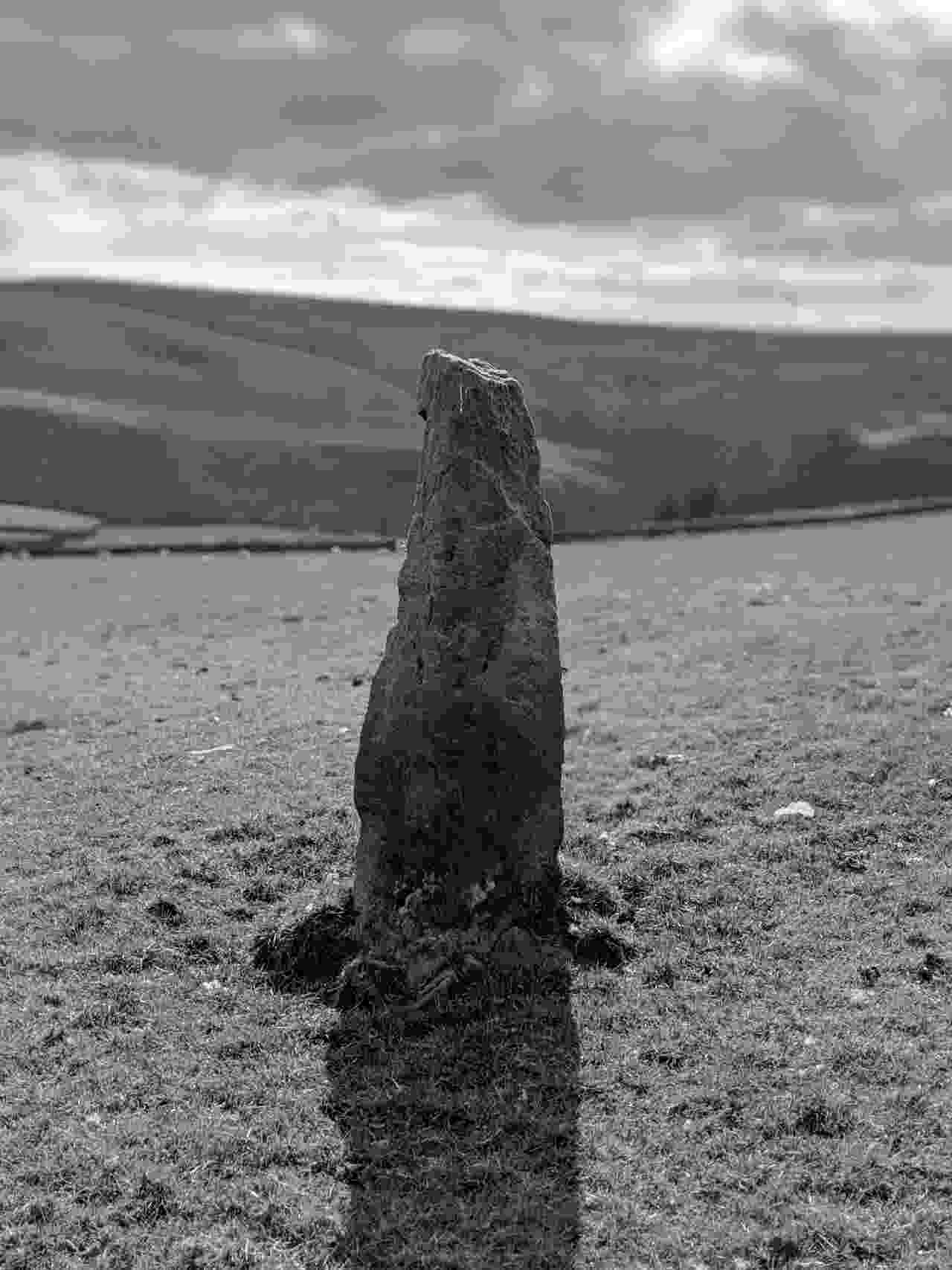 stones_stone_2_1