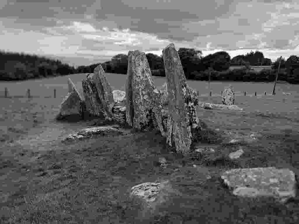 P_20230826_150130_1