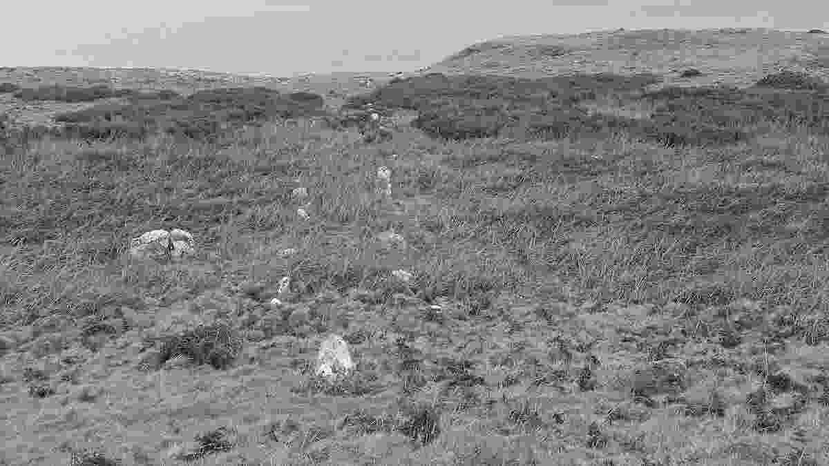 20240218_llandudno_P_20240218_114350