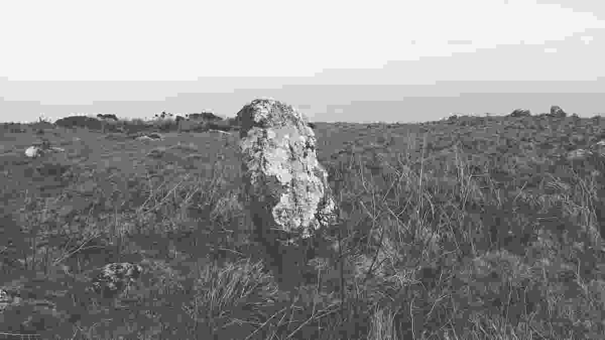 20240218_llandudno_lento_orl_mono_standard_asus_ai2302_1708256744