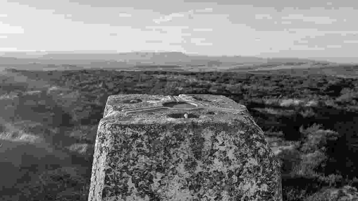 PXL_20250305_164940372