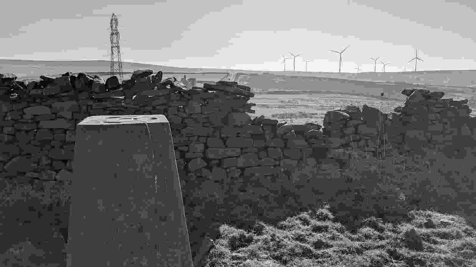 PXL_20250320_091944158
