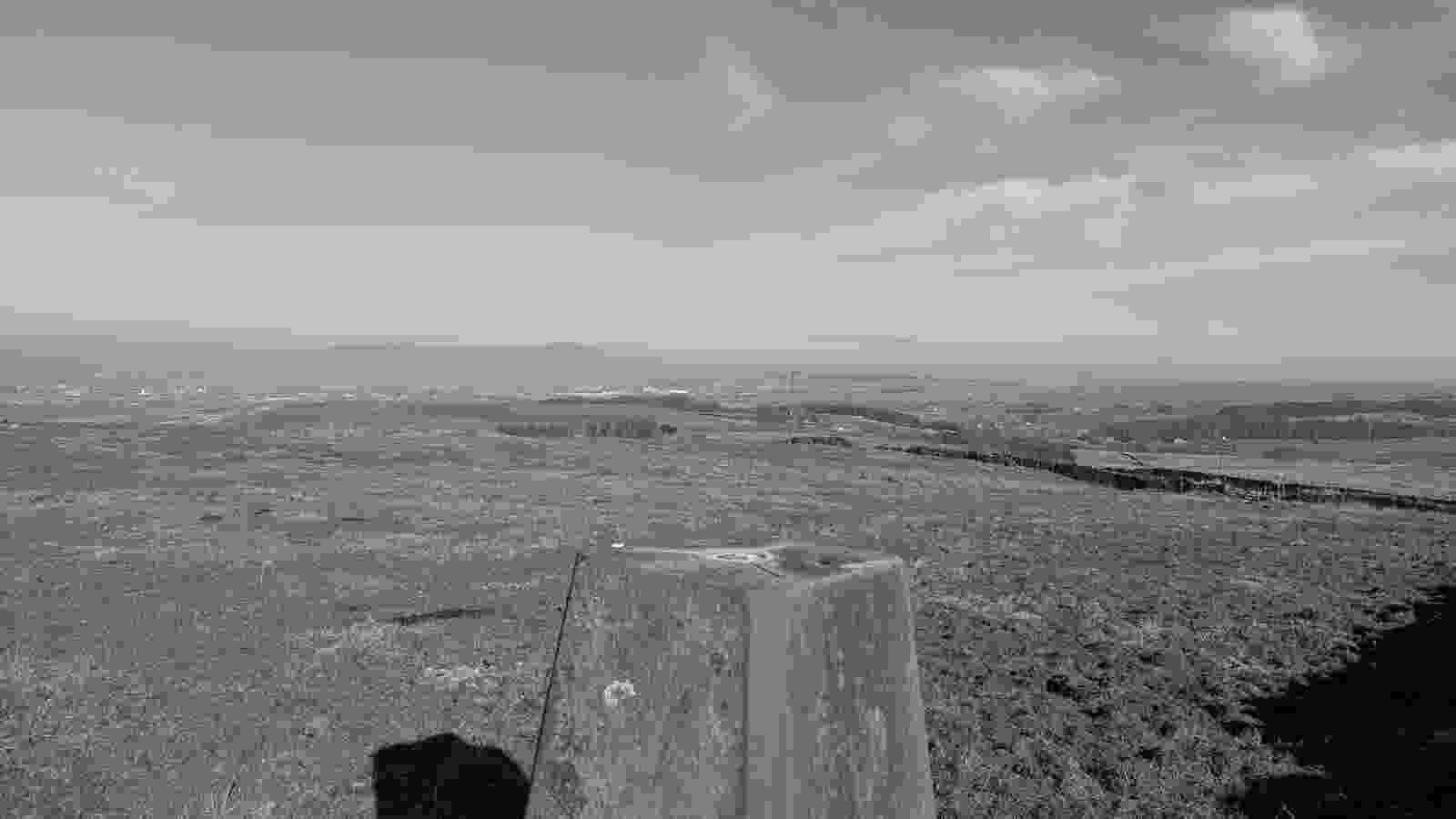 PXL_20250320_092028065